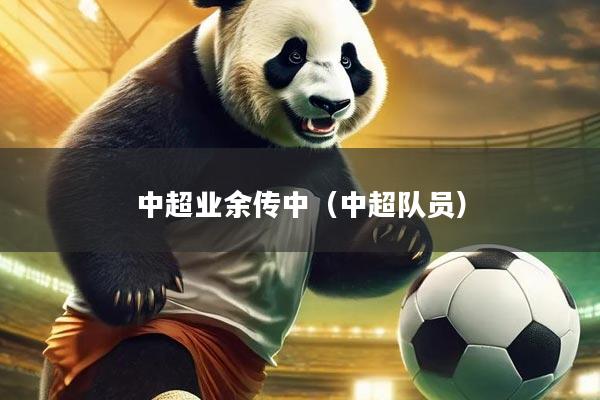 中超业余传中（中超队员）