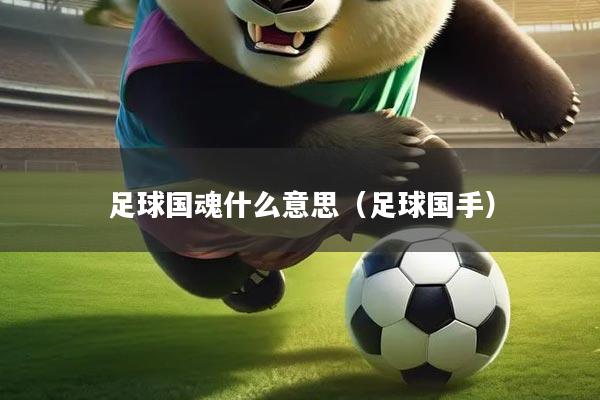 足球国魂什么意思（足球国手）