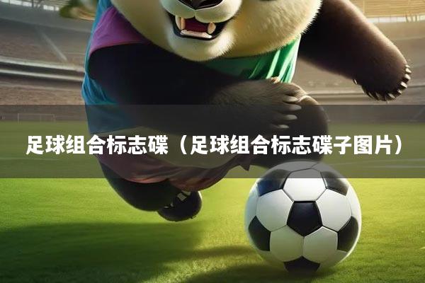 足球组合标志碟（足球组合标志碟子图片）